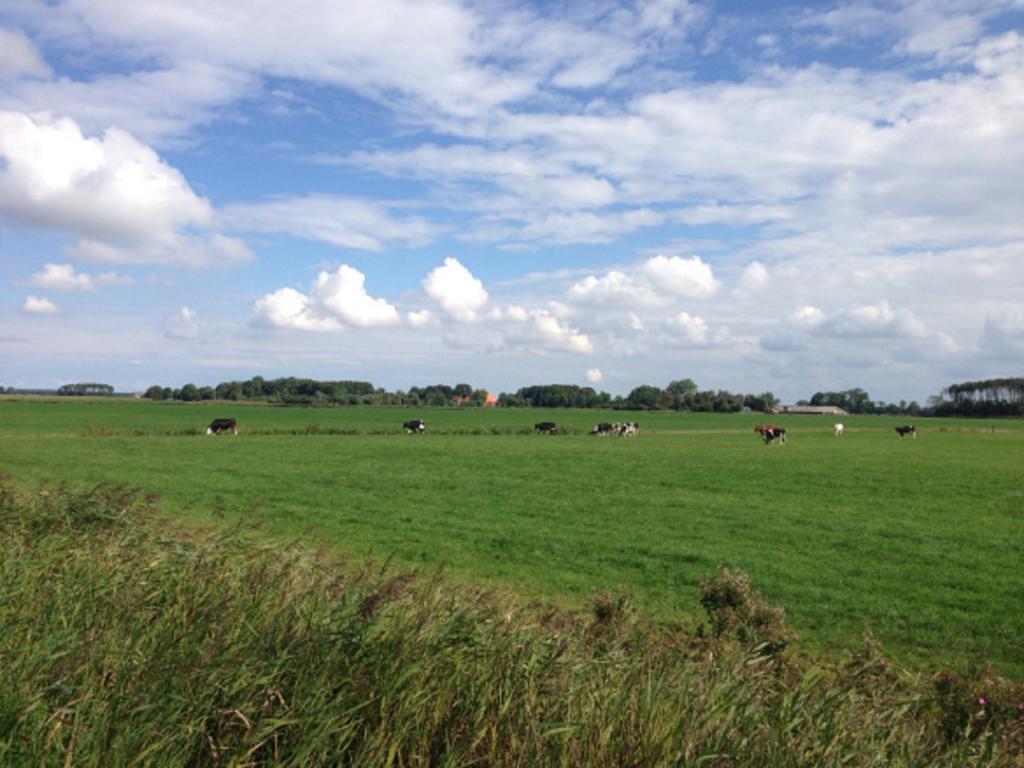 Lutje Hoeske Tinallinge Exterior foto