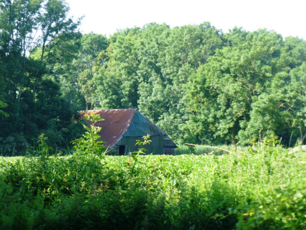 Lutje Hoeske Tinallinge Exterior foto